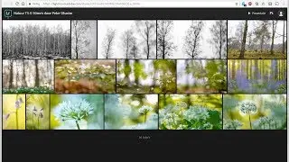 Lightroom | URL maken van een verzameling