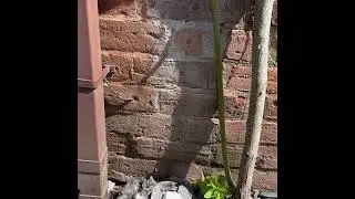 Roof problems causing serious damp internally