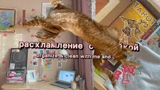 уютная уборка с котейкой || расхламление и подготовка к 2023 году