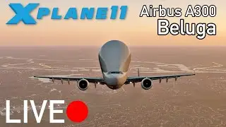 BELUGA! X-Plane 11 LIVE | AeroNewsGermany