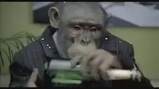 CareerBuilder.com: Monkey Business  (Monkeys Drinking - Pre Super Bowl Ad)