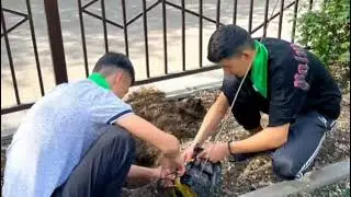 "Жасыл мекен" - БГТК