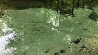 Зеленый ключ