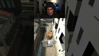 Half-Life 2 as a Bird