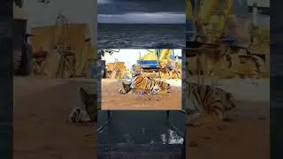 #funnyvideos #meme 710#shorts