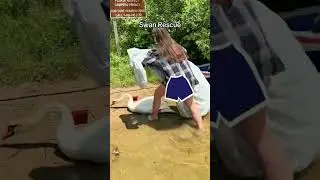 Part 3 anyone?