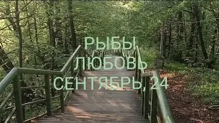РЫБЫ ЛЮБОВЬ СЕНТЯБРЬ 2024 года