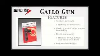 Diversitech Gallo Gun