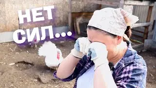 КОРОВ НЕ БУДЕТ. УБИРАЮ ВСЁ ПОД НОЛЬ!