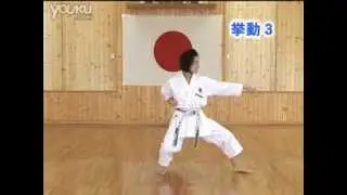Heian Nidan JKA Shotokan Karate @KarateZine