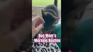 Surprising Morning Routines of This Dog Owner