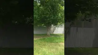 Школа 🏫 для особенных детей.#краснодар #жизньнаюге