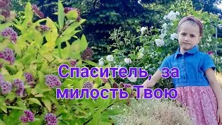 Спаситель,  за милость Твою🙏🌿