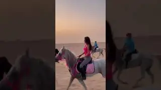 horse gang \ horse riding