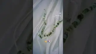 Приглашаю на воркшоп по русалочьим украшениям на Бали 🧜🏾‍♀️🌊