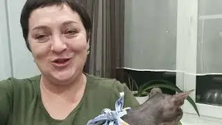 Записалась на курсы вождения.Стерилизовали кошку.Посолила форель.