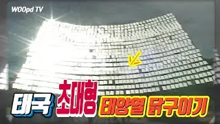 태국 초대형 태양열 닭구이기 7분만에 통닭구이 가능