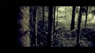 Film Look/Color Correction-Sony HDR-SR12 IN Sony Vegas/After Effects/Film Magic Pro