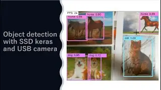 Object detection with SSD keras and a USB camera