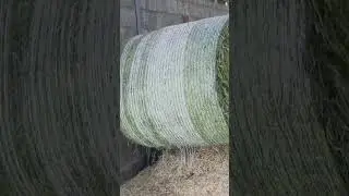 #farm #farming #bale #silage