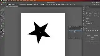 Chapter 20 - How to use the Rotate and Reflect Tool in Adobe Illustrator