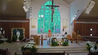 Daily Mass