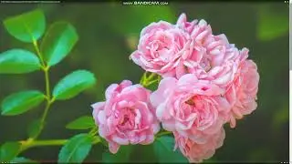 Полезная информация для нас с вами !