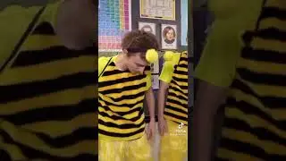 А4 ПЧЕЛА 😂😂😂😂