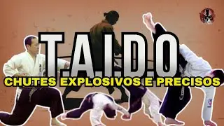 taido: Explosive, Precise and Agile Kicks in Action || HOW STRONG IS IT