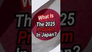 What Is The 2025 Problem In Japan? 