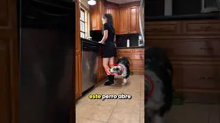 #babifreitas