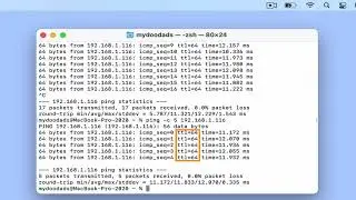 Useful macOS network terminal commands - Run a Ping test