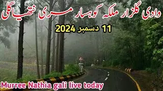 murree live today | Nathia gali live today | #murree weather today | murree #snowfall update #2024
