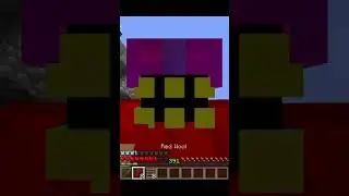I tried Playing Hypixel In 1.16?