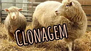 Clonagem