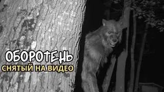 ЖУТКИЕ И МИСТИЧЕСКИЕ ОБОРОТНИ СНЯТЫЕ НА КАМЕРУ