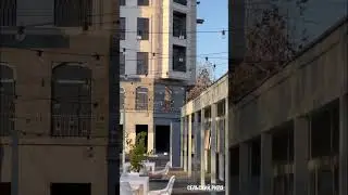 29 ноября 2022 г.