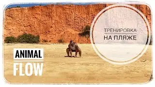 Тренировка на пляже. Animal Flow