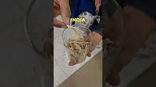 This is how I carried my starter from India 🇮🇳 to New Zealand 🇳🇿