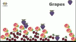 Learn Fruits Names in English | Fruits | List of Fruits | Name of Fruits - Starting with G