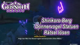 💪Genshin Impact - Rätsel: Shirikoro Berg (Tsurumi) Donnervogel Statuen Stein Rätsel lösen💪