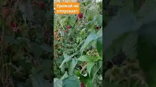 26 сентября 2023 г.