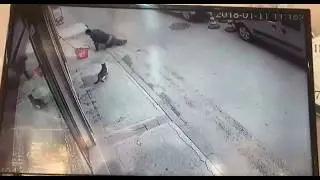 냥아치~ㅋㅋㅋㅋㅋㅋ