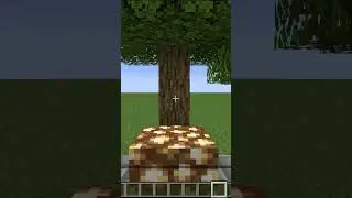 Minecraft OLDVSNEW TEXTURES #shorts