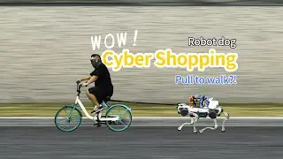 Pull To Walk Robot Dog Grocery Shopping