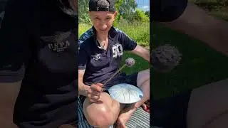 Помогите Петровне вспомнить трек😁