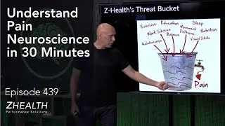 Understand Pain Neuroscience in 30 Minutes