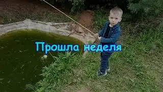 Вторая рыбалка внука