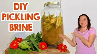The Best Homemade Dill Pickling Brine Recipe | Refrigerator Pickles