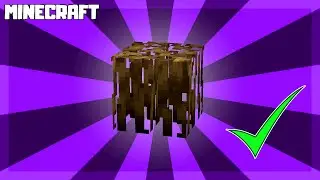 MINECRAFT | How to Get Mangrove Roots! 1.19.4